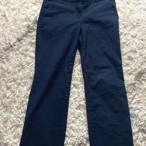 Long Baggy J. Crew Skater Pants